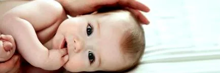 водач