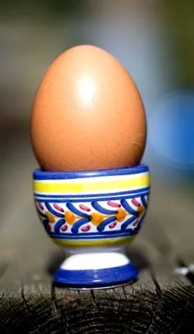 tojás