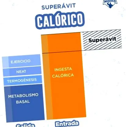 izomtömeg növelésére