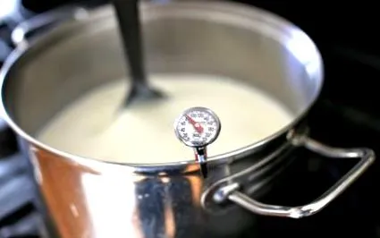 овче мляко