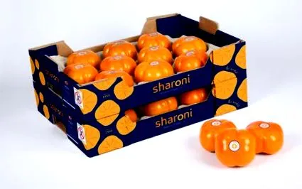 SHARONI kaki