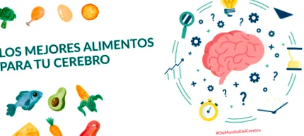 javító