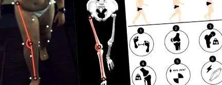 biomechanikai