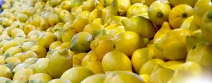 lemon