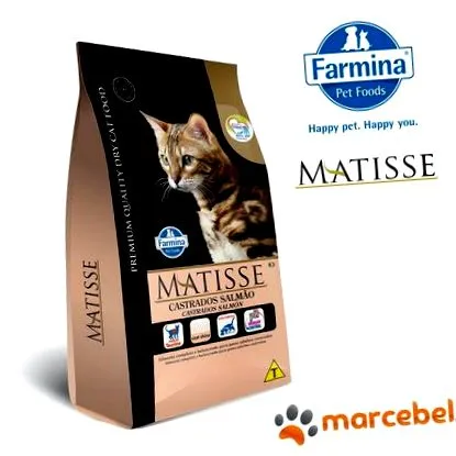 matisse