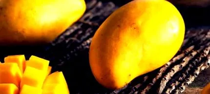 mango