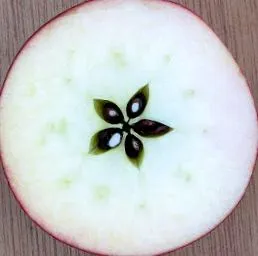 eszik