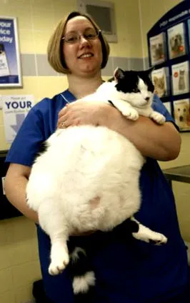 която