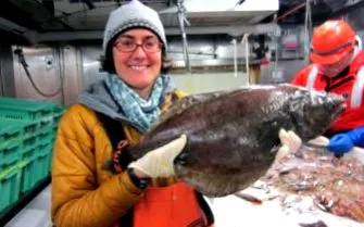 halibut