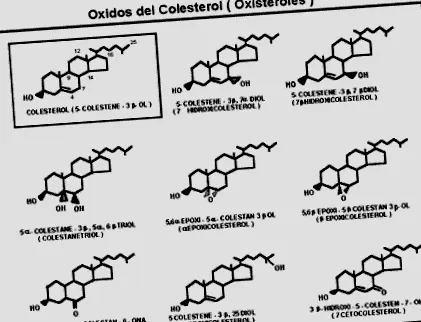 oxiszterolok