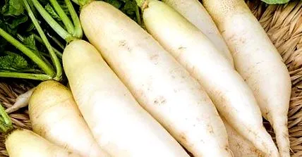 daikon