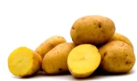burgonya