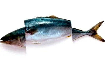 рибната