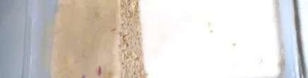яйце