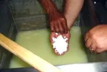 egészséges