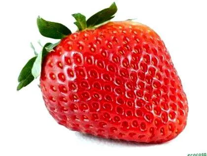 tulajdonságai