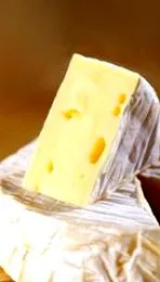 camembert