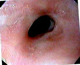 vagy