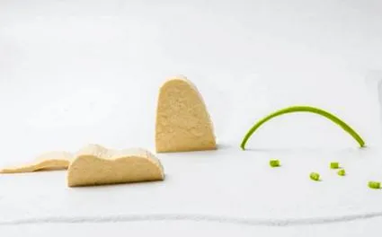 hogy tofu