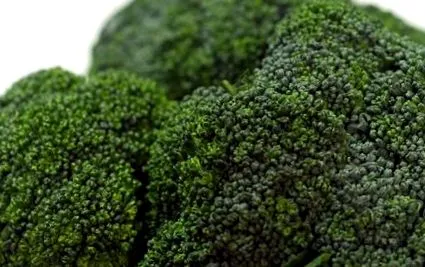 brassica