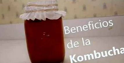 kombucha