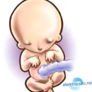 седмица
