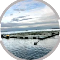 tisztelete