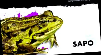 szaporodás