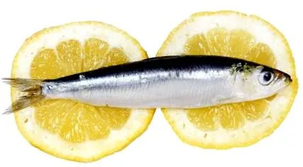 сардини