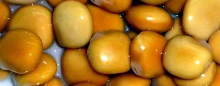 dukan