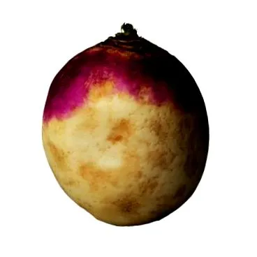 алтернативи