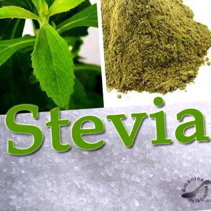 stevia