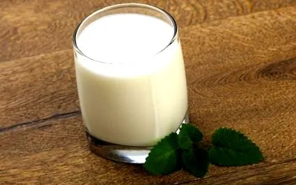 kéfir