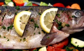 trout