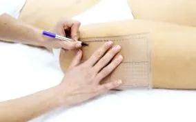 телесните мазнини