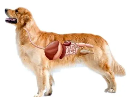 така