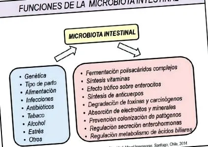 sochob