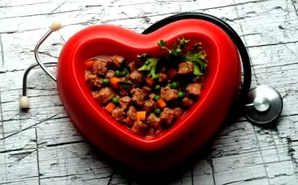 кучета