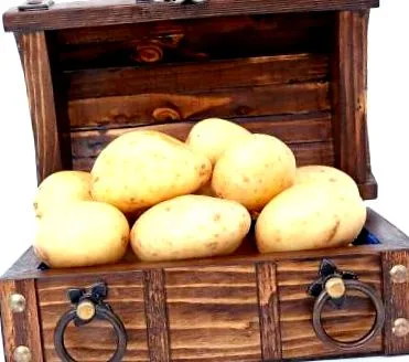 картофена