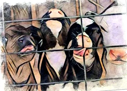 боротьби