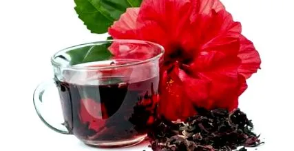 hibiszkusz