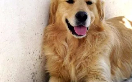 които