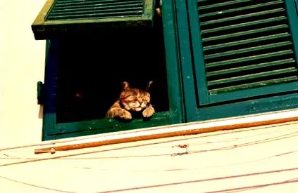 които