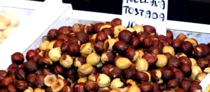 tulajdonságai