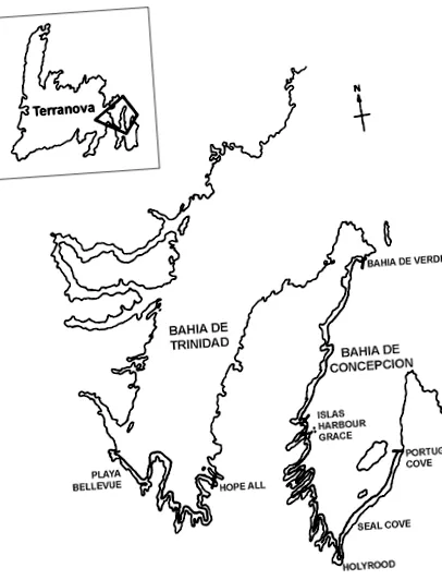 Mallotus villosus