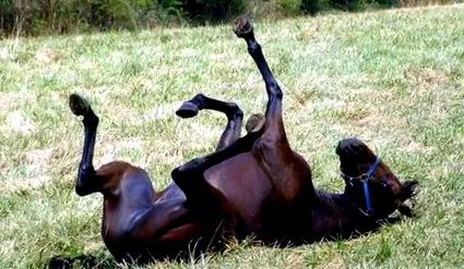 блог