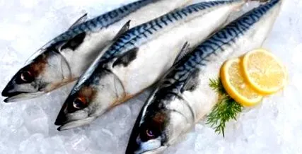 tulajdonságai