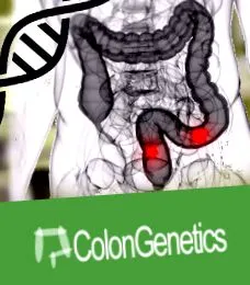 тест