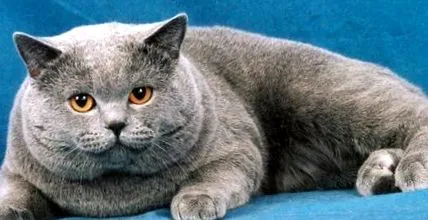 тези които