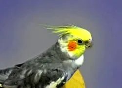 törődjünk
